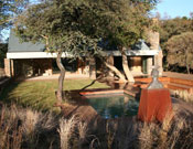 Johan Bergenthuin House Dreamhome