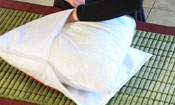 Button Pillow
