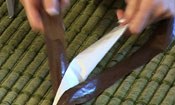 Plastic Bag