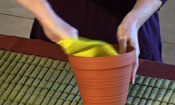 Textured Pots